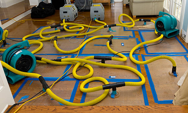 Professional Water Damage Repair technician working in Metamora, IL